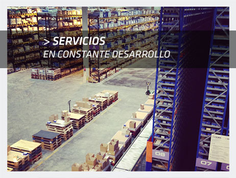 ROSMIL_Servicios